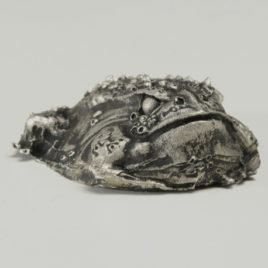 Picture of Belcher Toad from Metamorphosis Alpha