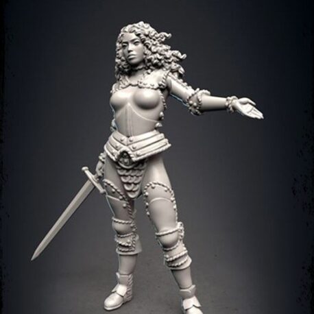 mercenary captain