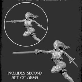 The Mercenary Company Duelist